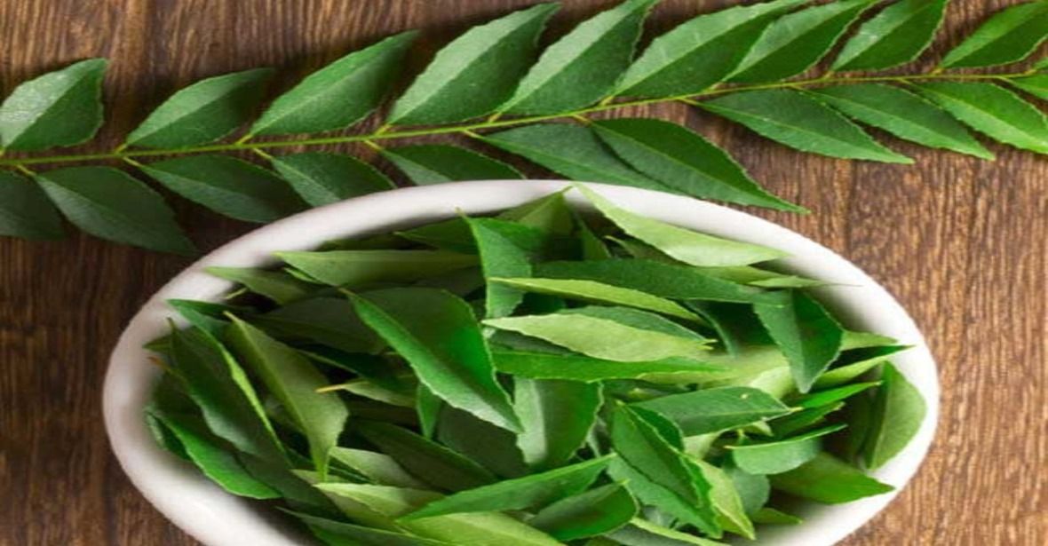 Curry Leaves