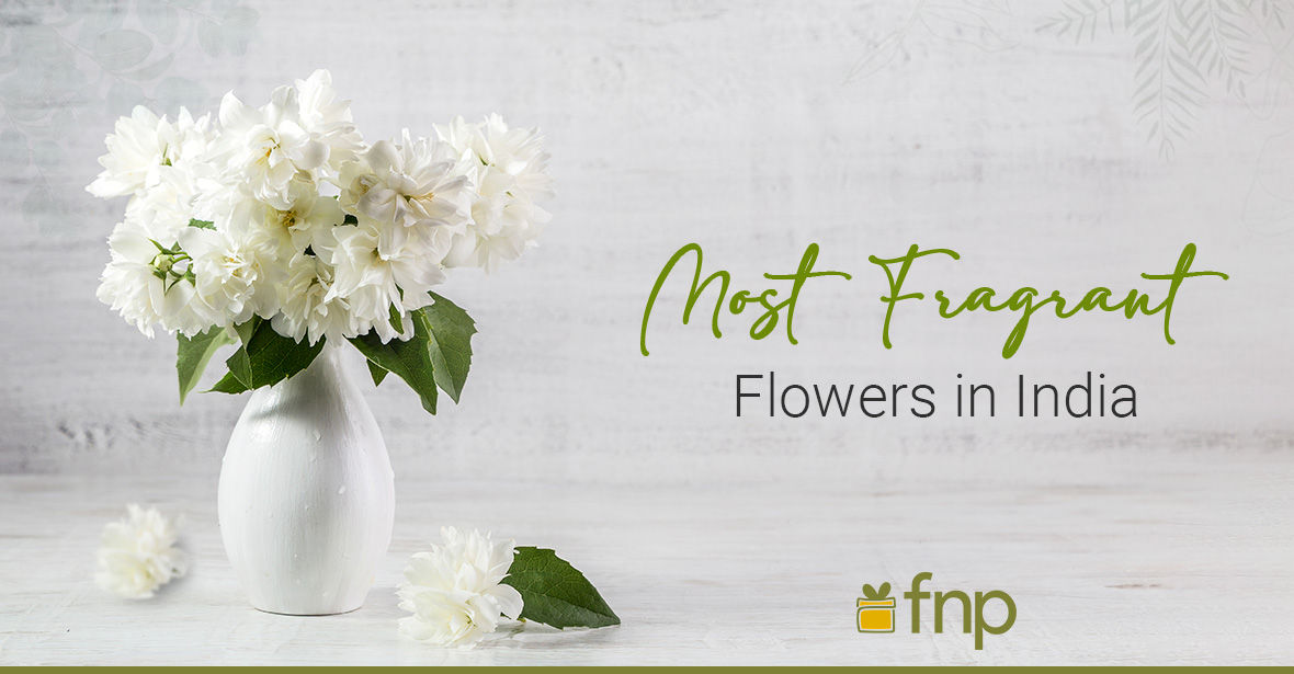 Most Fragrant Flowers In India