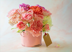Flowers that Mix with Carnations Perfectly