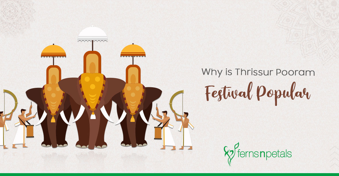 What Makes Thrissur Pooram Festival So Popular