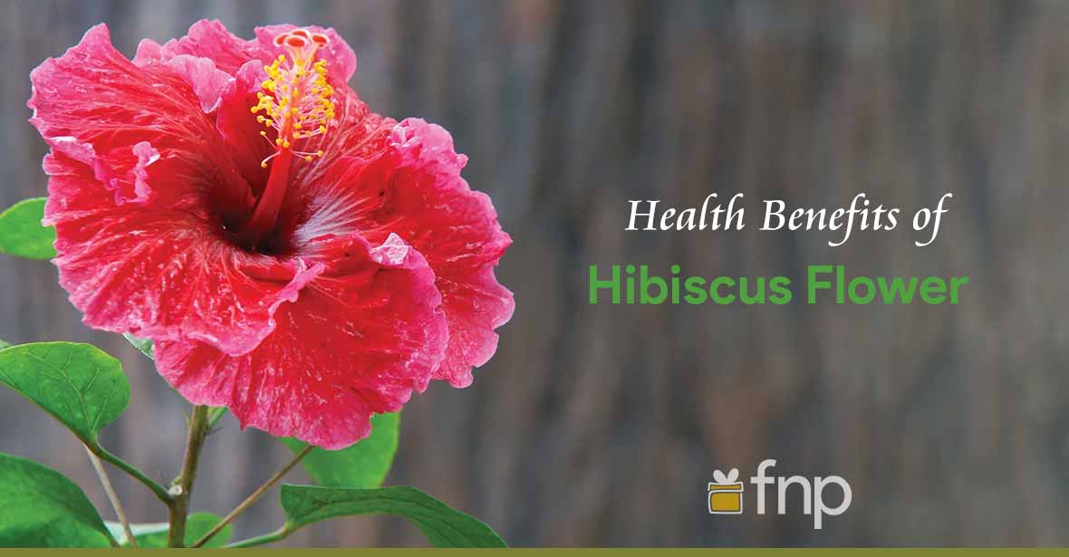 Benefits of Hibiscus Flower