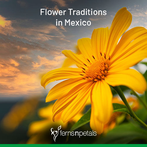 Flower Traditions in Mexico