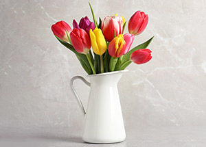 types of tulip flowers