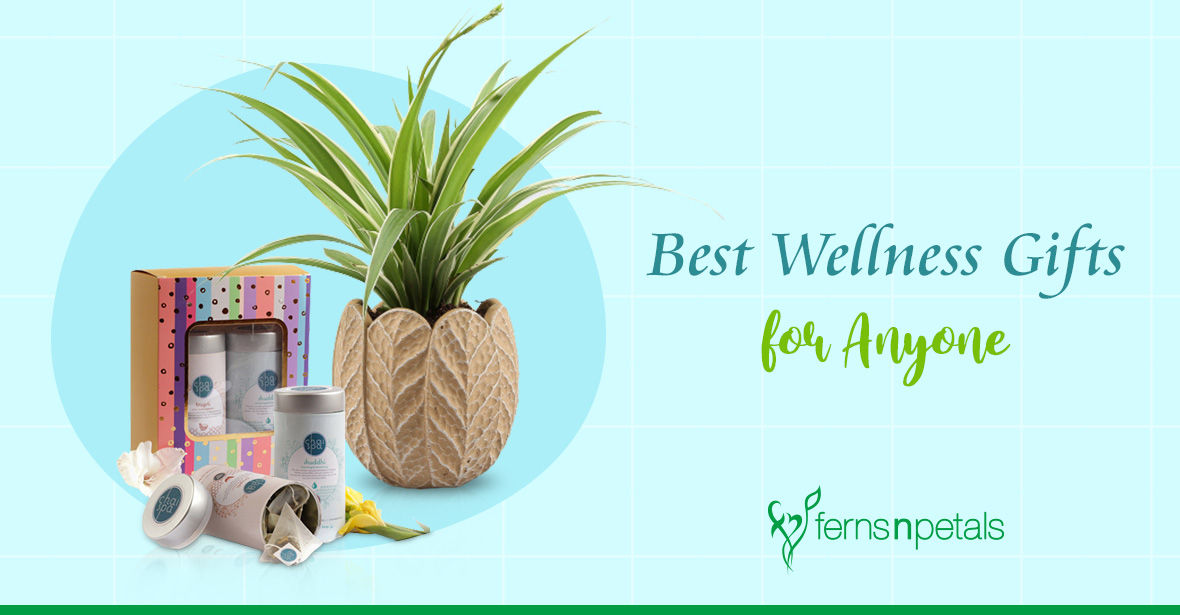 7 Best Wellness Gifts Ideas