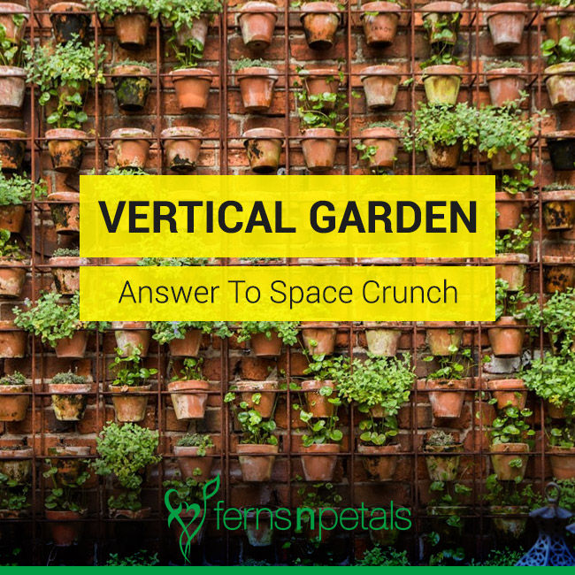 Vertical Gardens