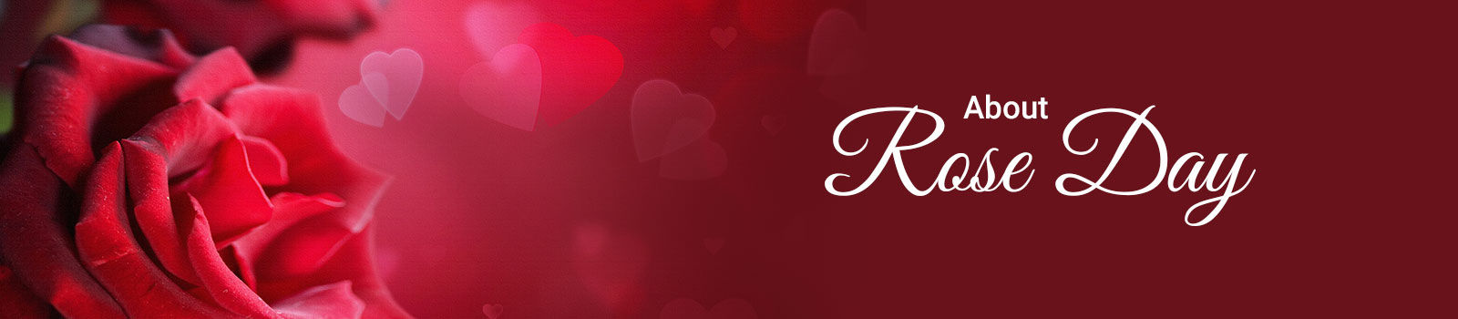 About Rose Day 