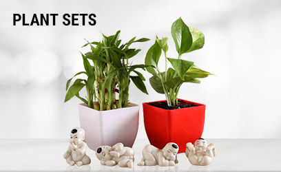 Plant Sets