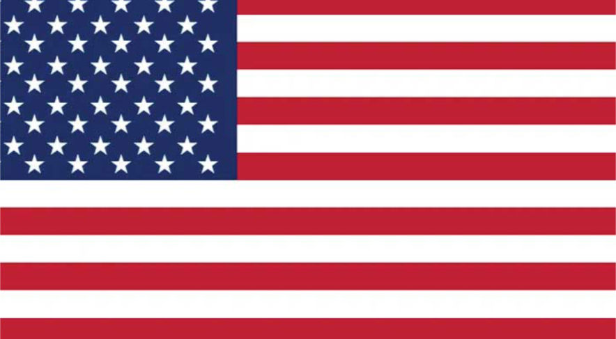 Anniversary Gifts to USA