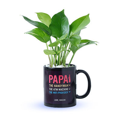Personalised Pot Plants for Father's Day