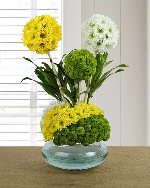 Chrysanthemums Online