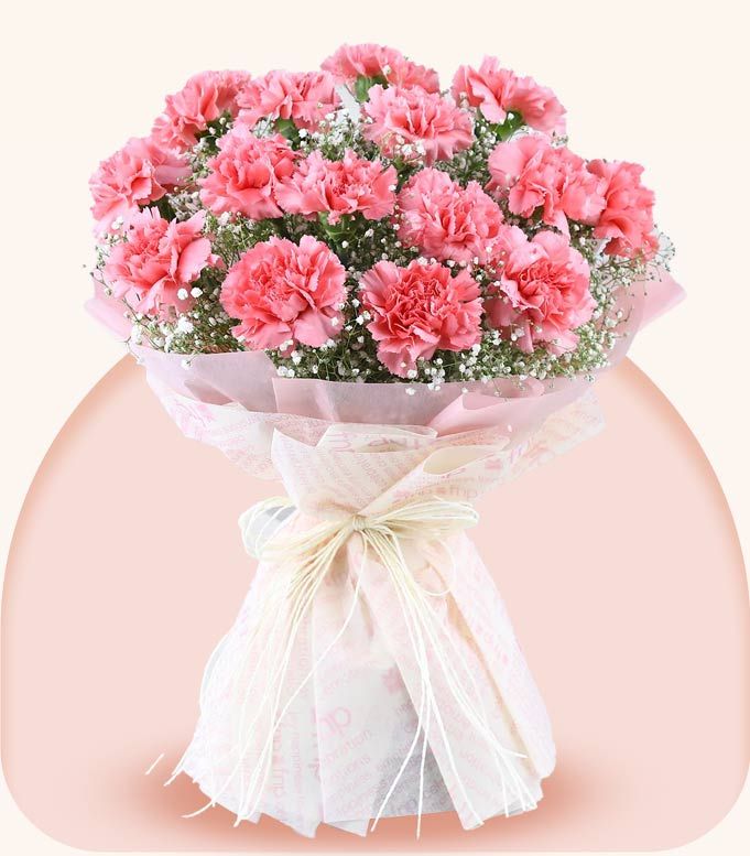 Mothers Day Gift carnations