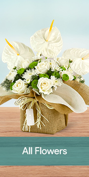 All Flowers