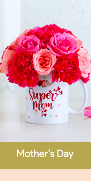 Valentine's Gifts