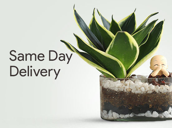 same day