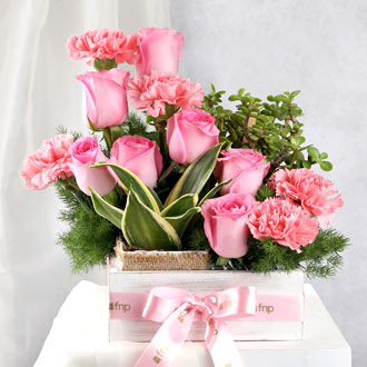 Congratulations Gifts