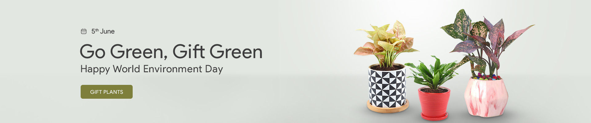 Environment Banner