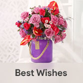 Congratulations Gifts