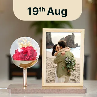 World Photography Day