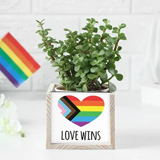 Pride Month