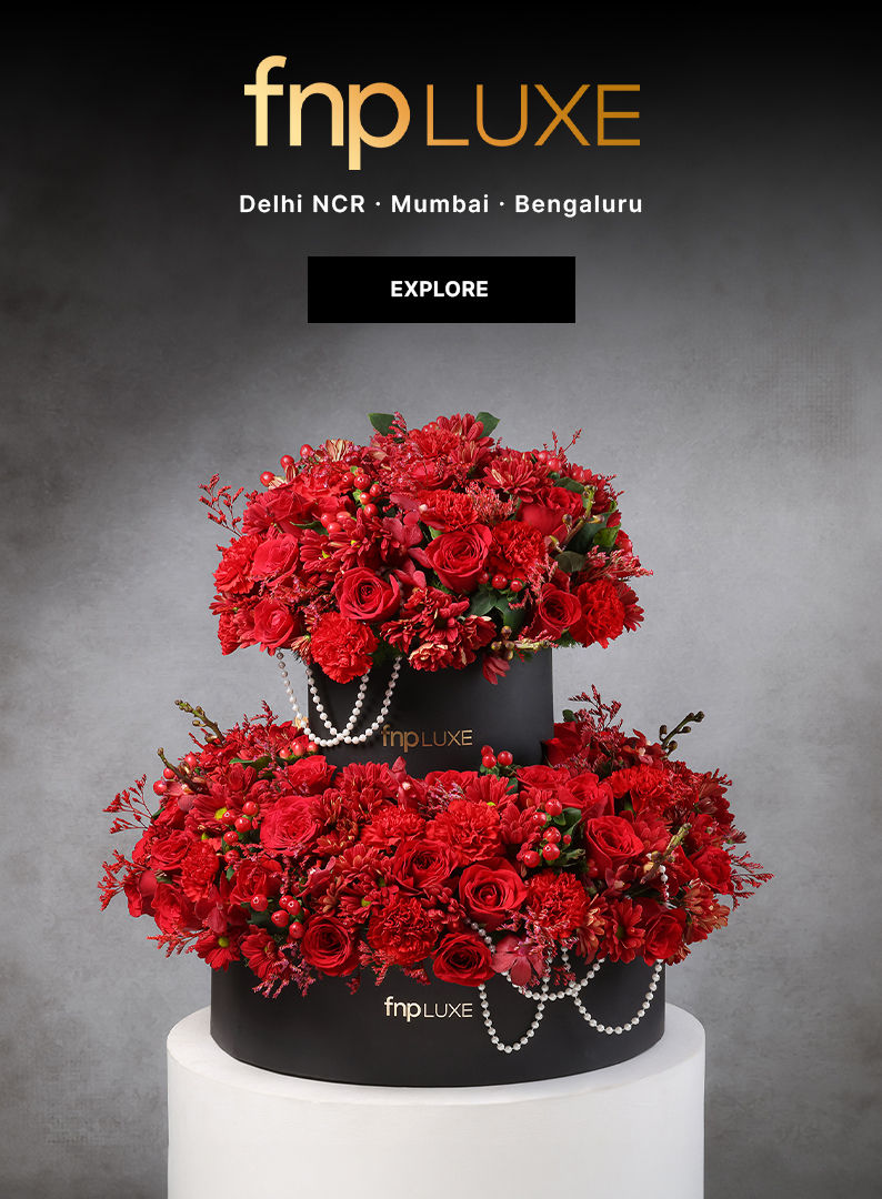 Valentines Premium Gifts