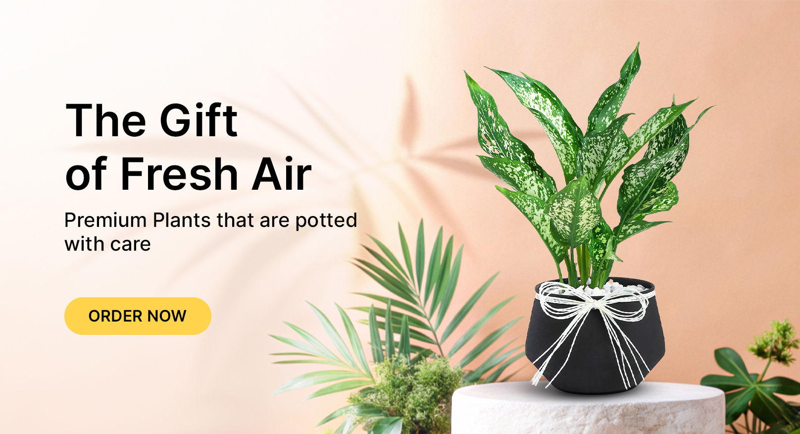 Plants
