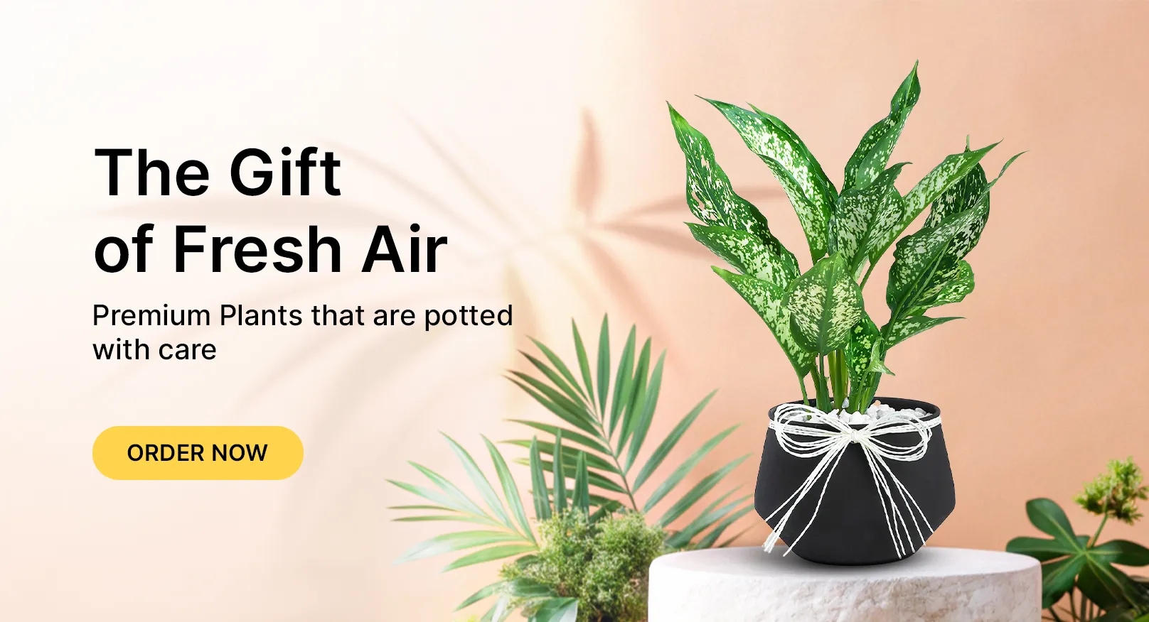Plants