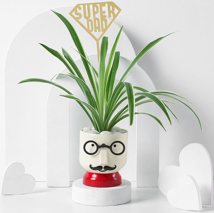 Plants