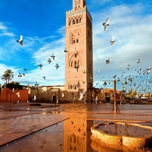 Send gift to Morocco