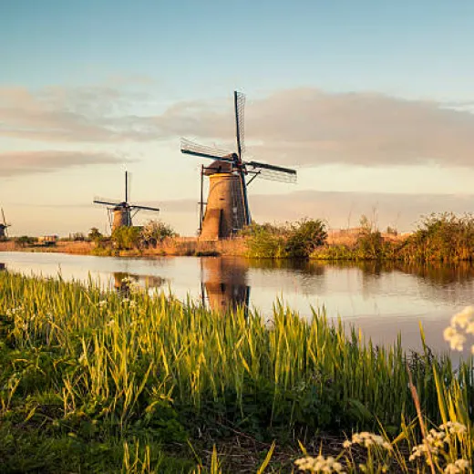 Send gift to Netherlands