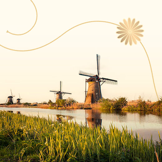 Send gift to Netherlands