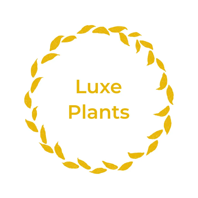 Luxe Plants