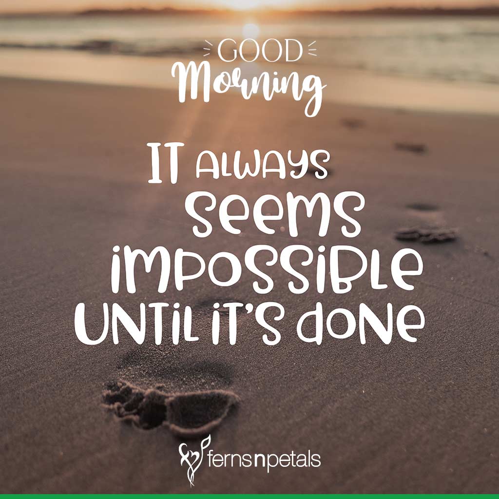Extensive Collection of 4K Good Morning Images with Quotes for WhatsApp ...