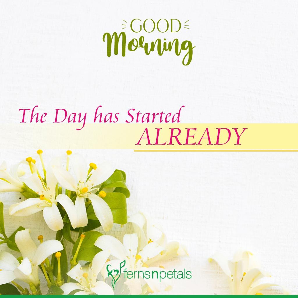 best good morning quotes