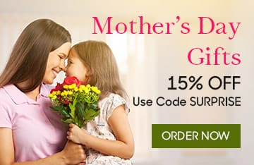 Mothers Day Offer 