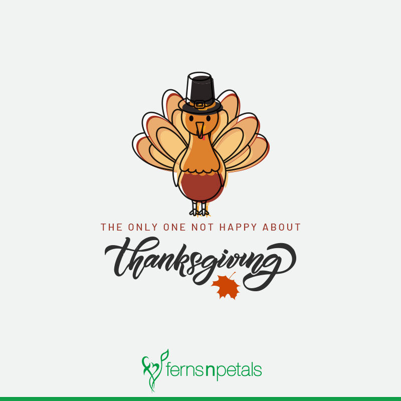 thanksgiving day wishes online