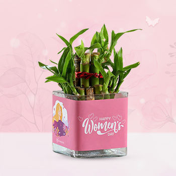 Plants for women's day