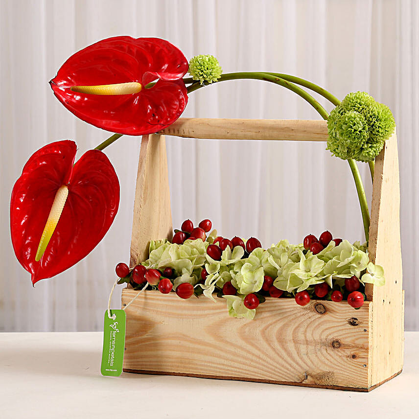 Elegant Anthurium Basket