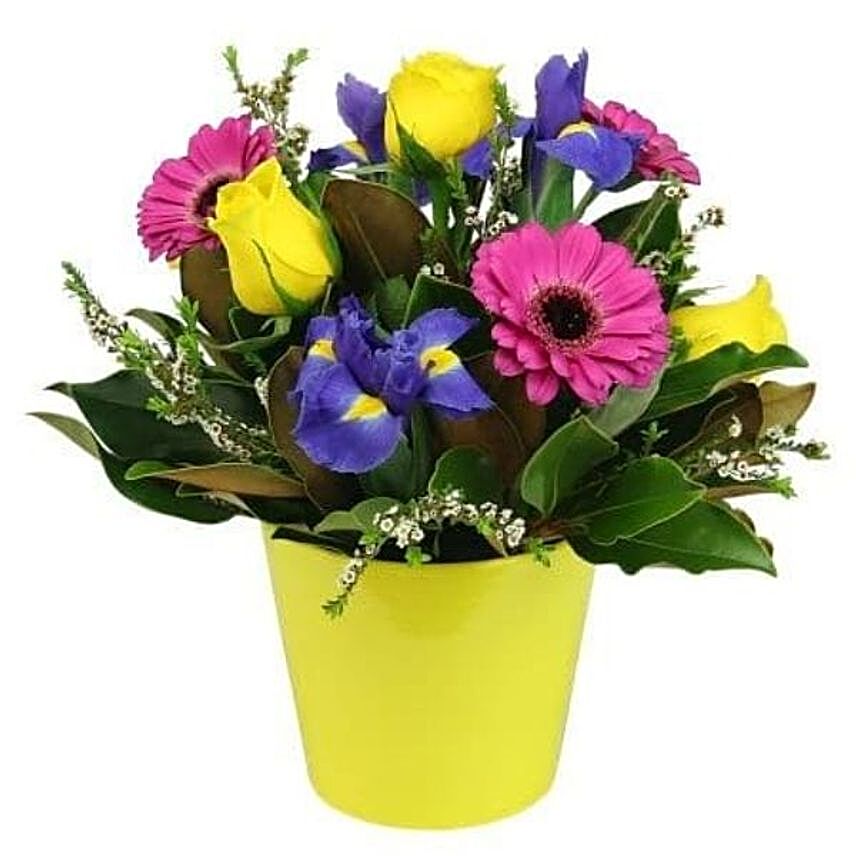 Bright Seasonal Flower Pot