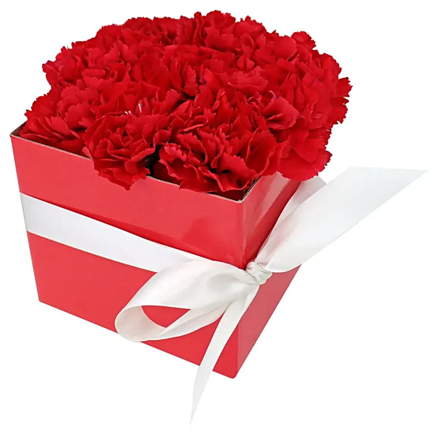 Blissful Carnations Red Box:Send Birthday Flowers to Australia