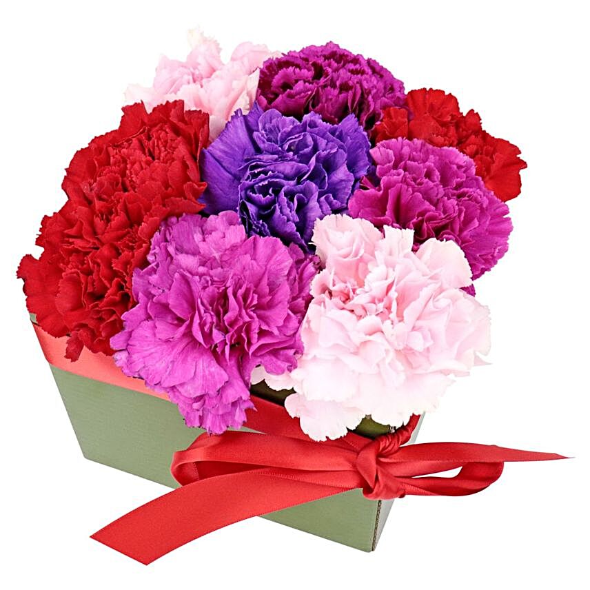 Blooming Carnations Box:Send Gifts to Melbourne