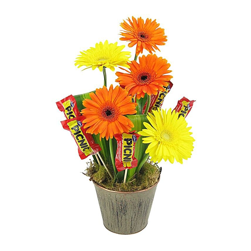 Vibrant Gerberas Vase And Picnic Bars:Flowers and Chocolates Delivery in Australia