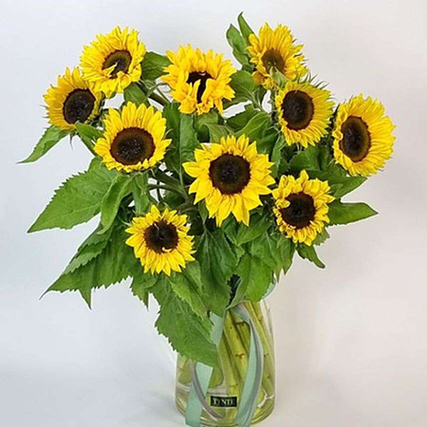 Sunny Sunflowers Vase:Flower Delivery Australia