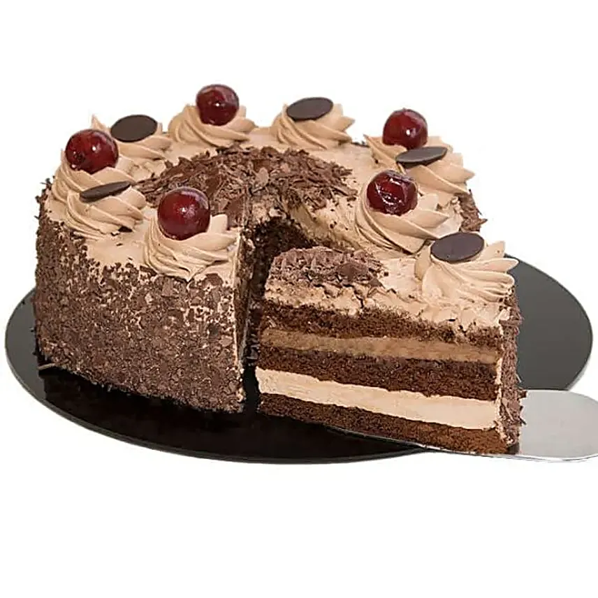 French Chocolate Cake
