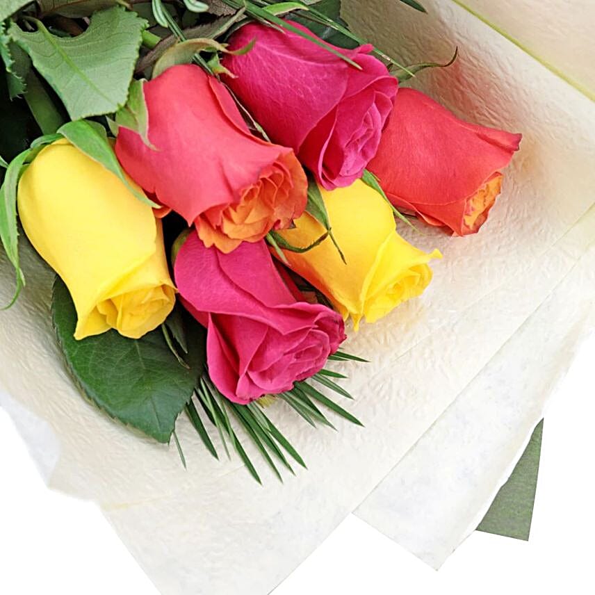 Mixed Colour Roses