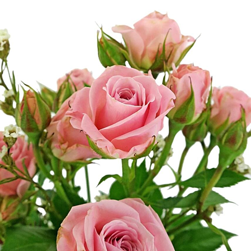 Sweet Roses in Jar