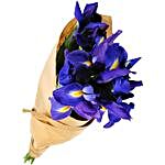 Alluring Iris Bouquet