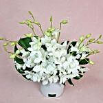 Luxe Singapore Orchids Vase