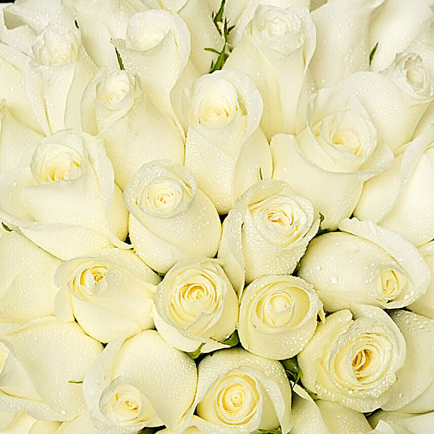50 White Roses Beauty Bouquet