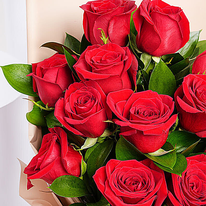 Love Expression Valentine 12 Roses