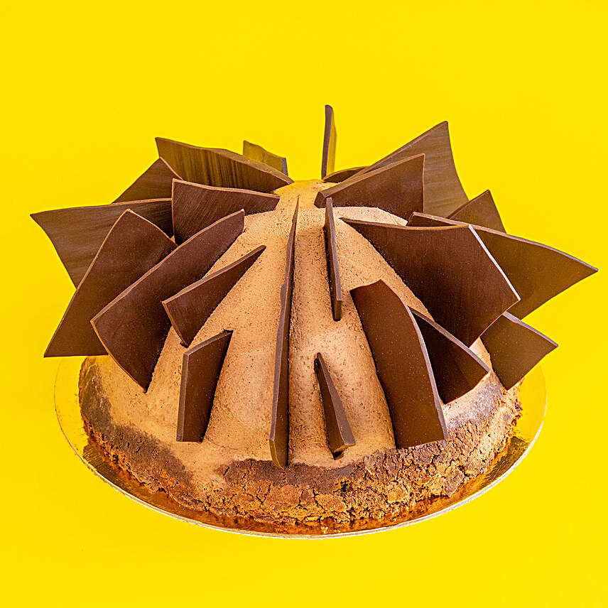 Dark Belgian Chocolate Mousse Cake